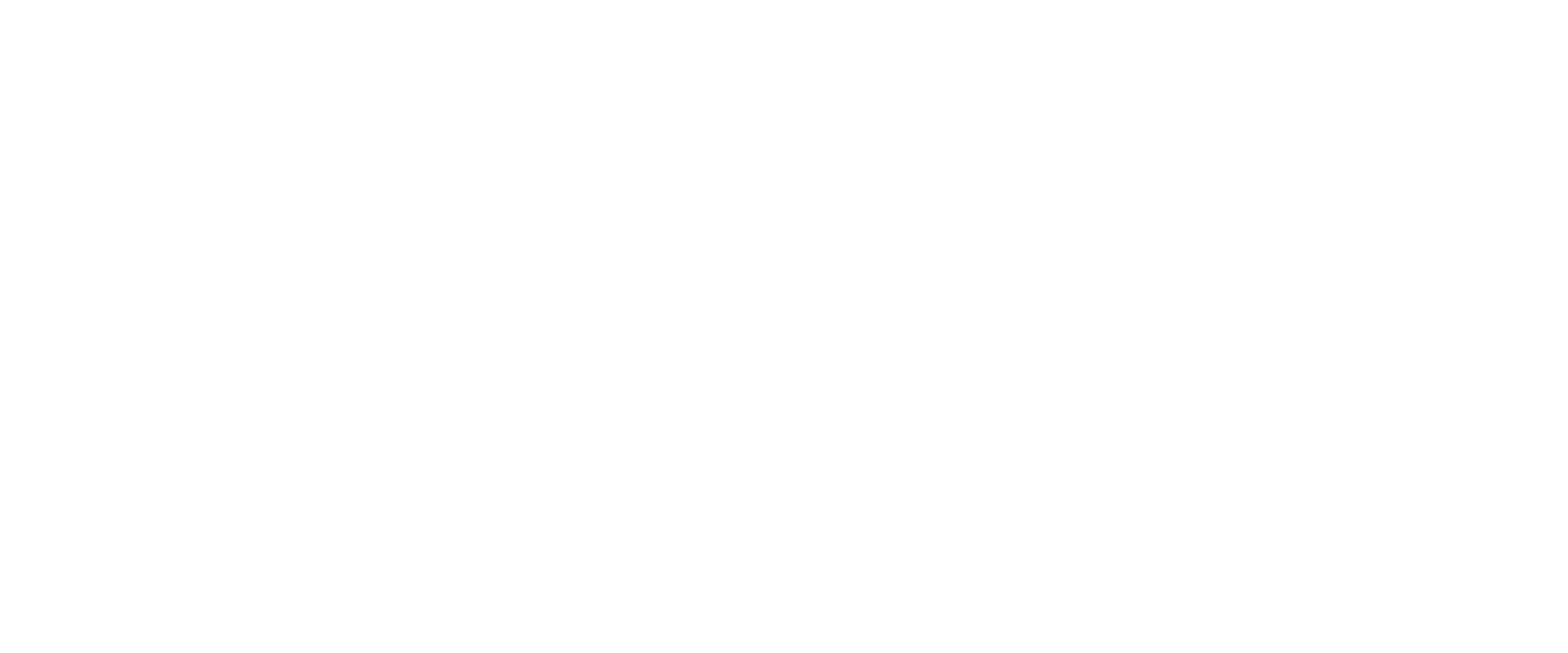 WSI Bell Digital